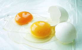 Clara de huevo liquida Pasteurizada
