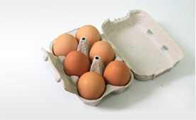 Huevos Morenos supergrandes